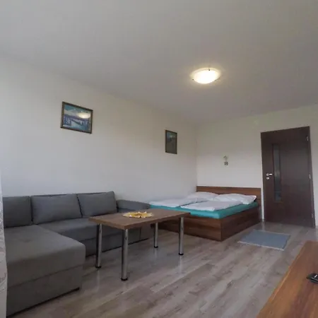 Apartment Igor